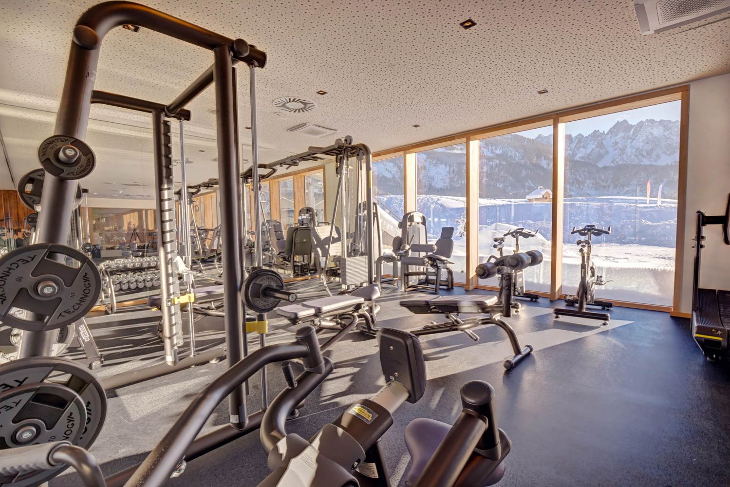 A large gym with many sports equipment and a long window front.